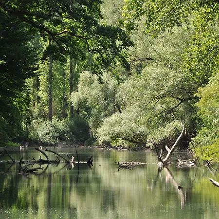 Apartment Am Otterbach