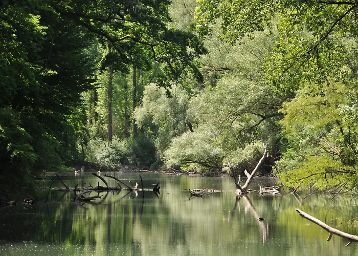 Apartamento Am Otterbach